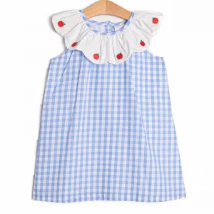 Addison Apple Embroidered Dress, Blue