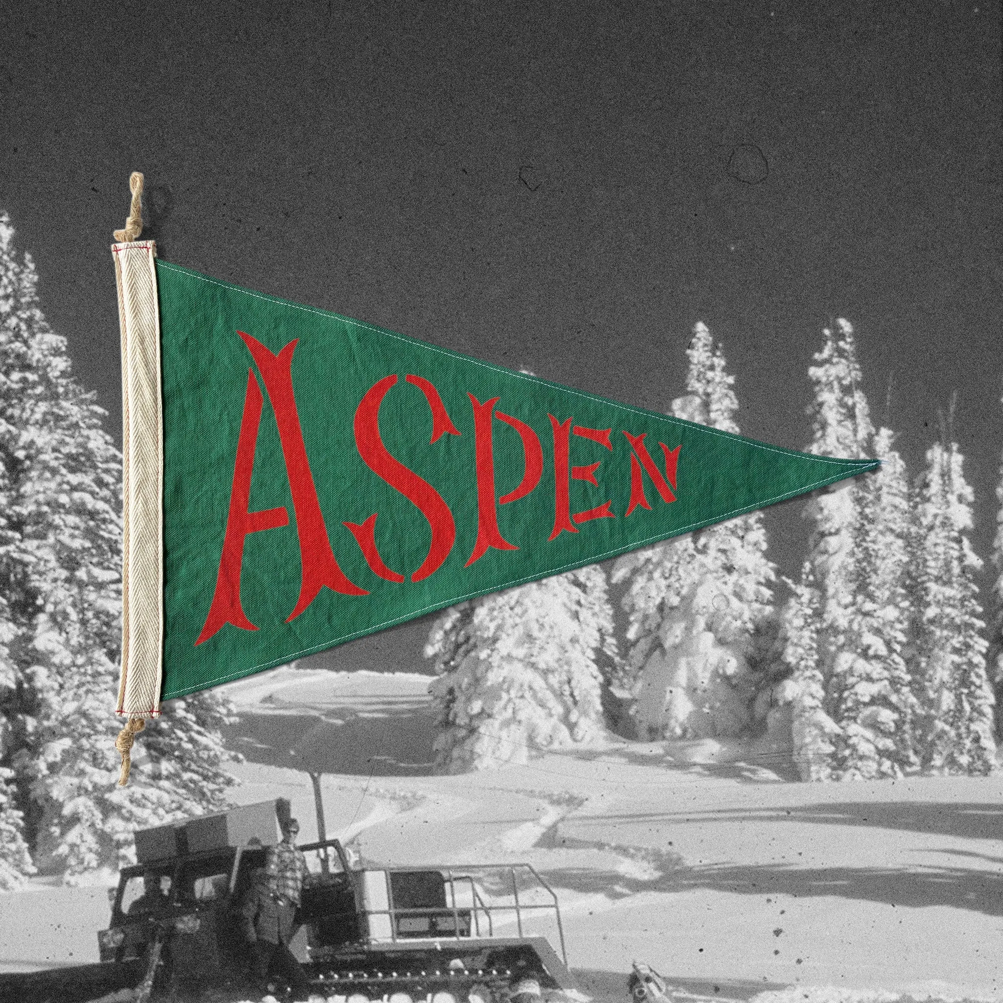 Aspen Flag