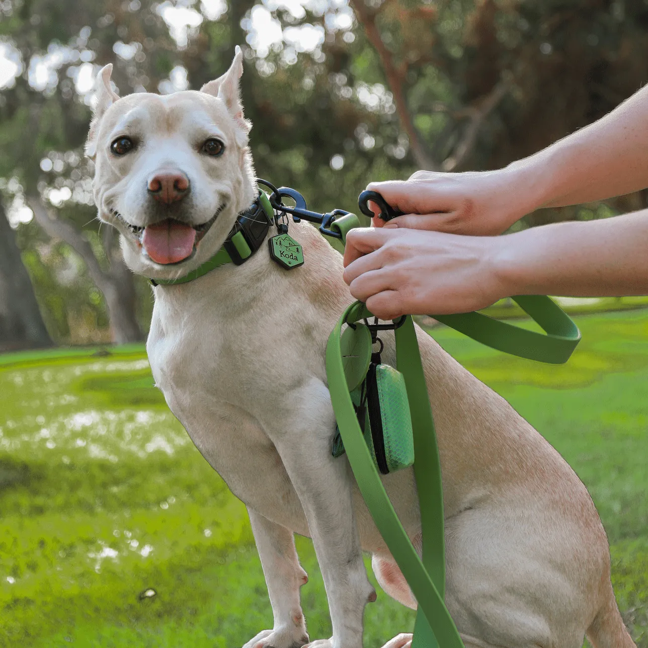 Black Waterproof Dog Leash