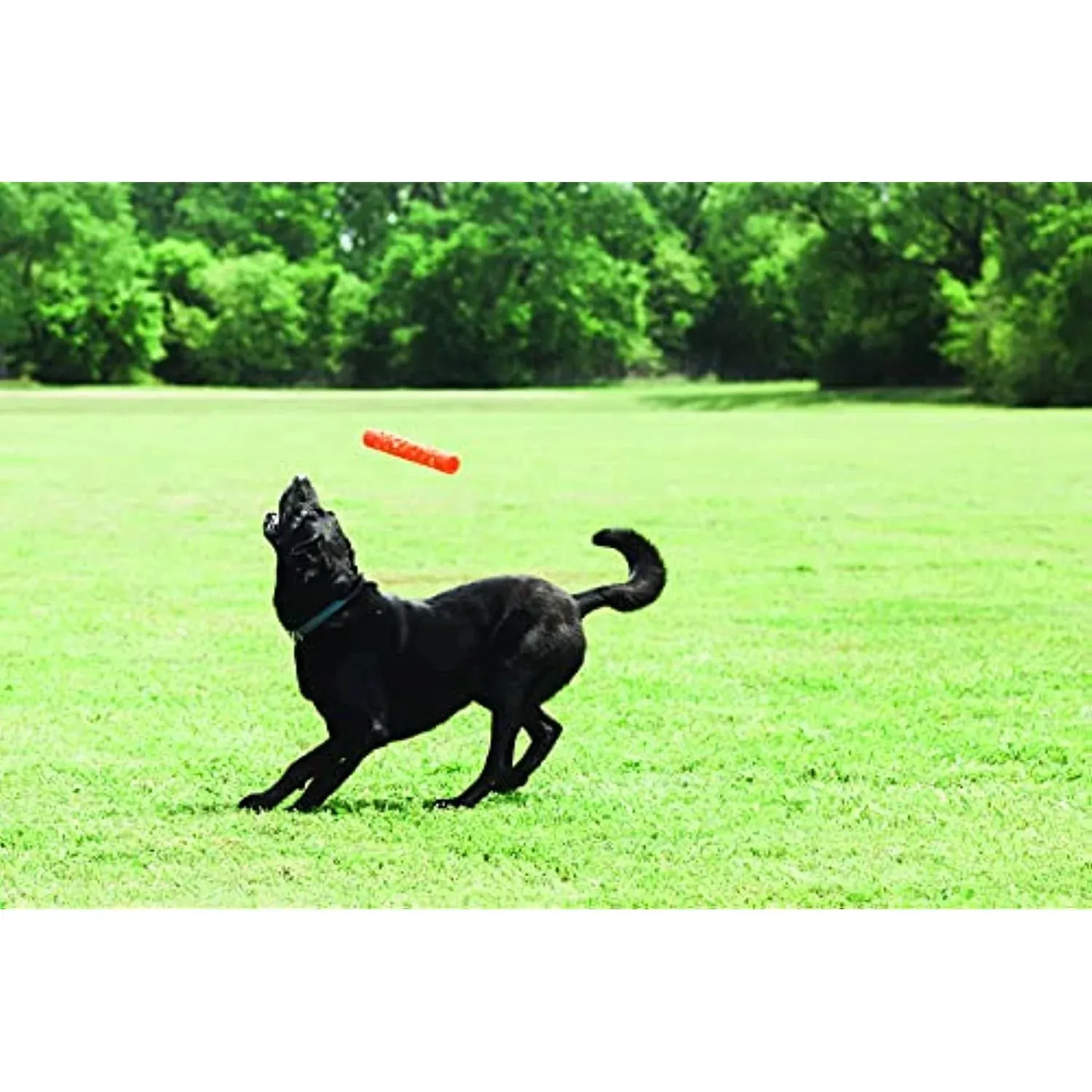 Chuckit! Breathe Right Stick