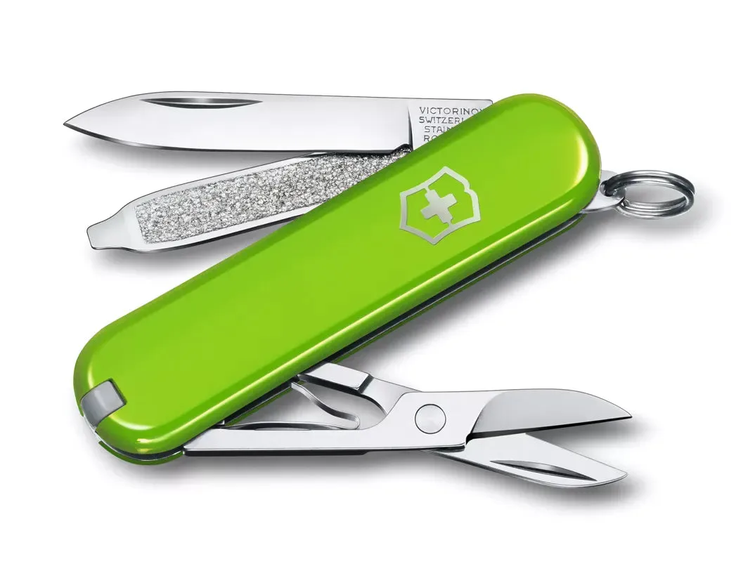 Classic SD Pocket Knife (Boxed)