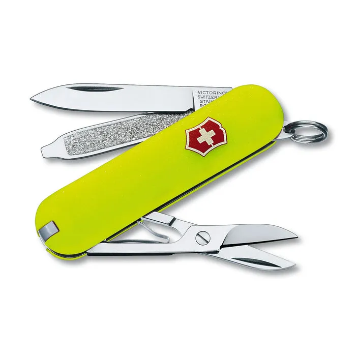 Classic SD Pocket Knife (Boxed)