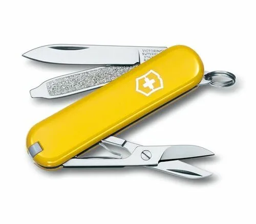 Classic SD Pocket Knife (Boxed)