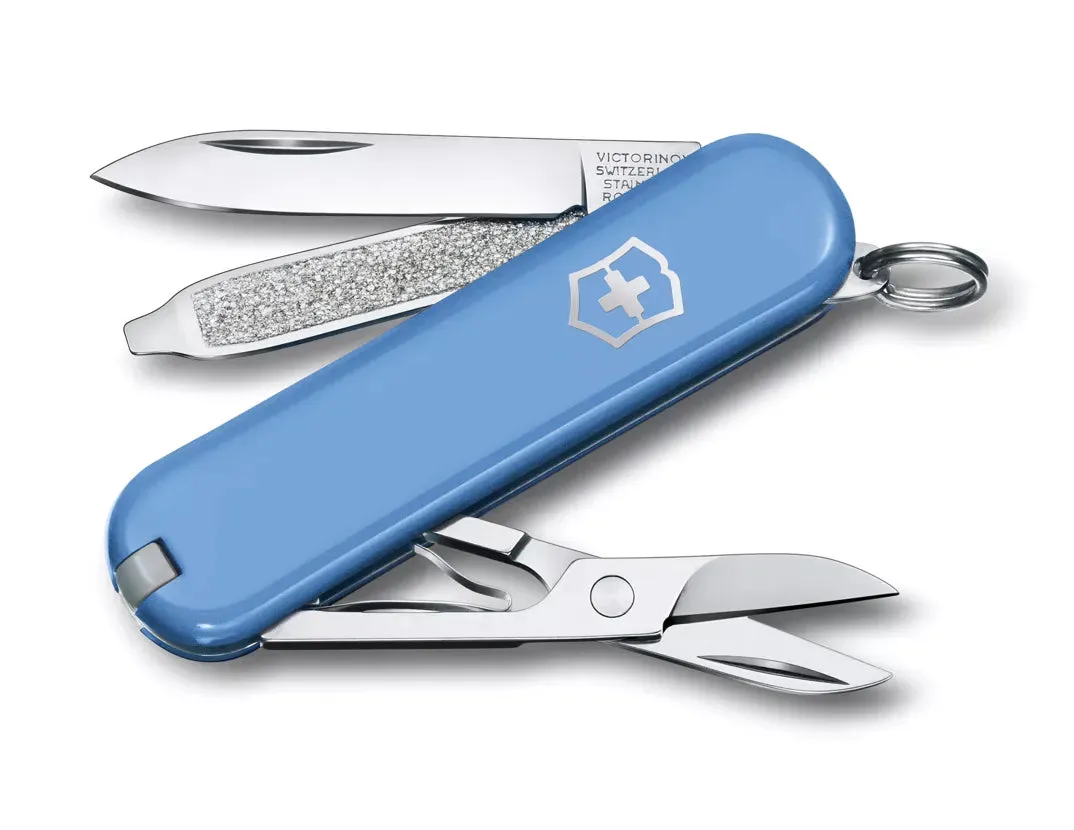 Classic SD Pocket Knife (Boxed)