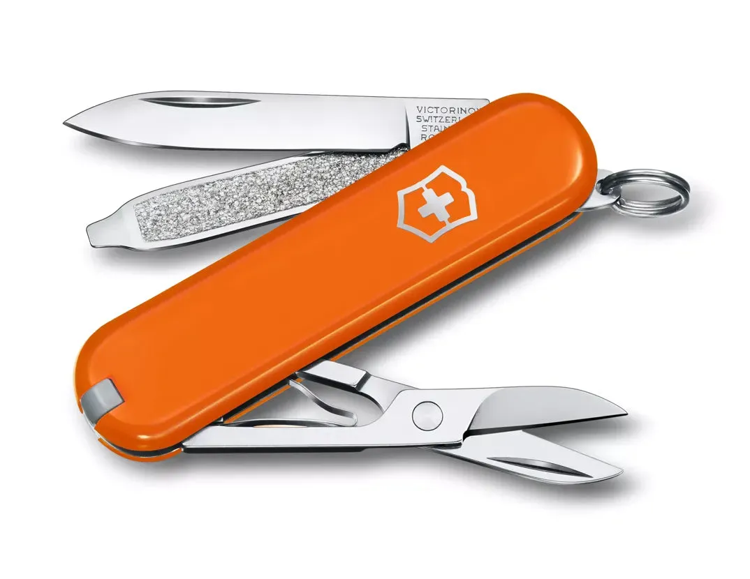 Classic SD Pocket Knife (Boxed)