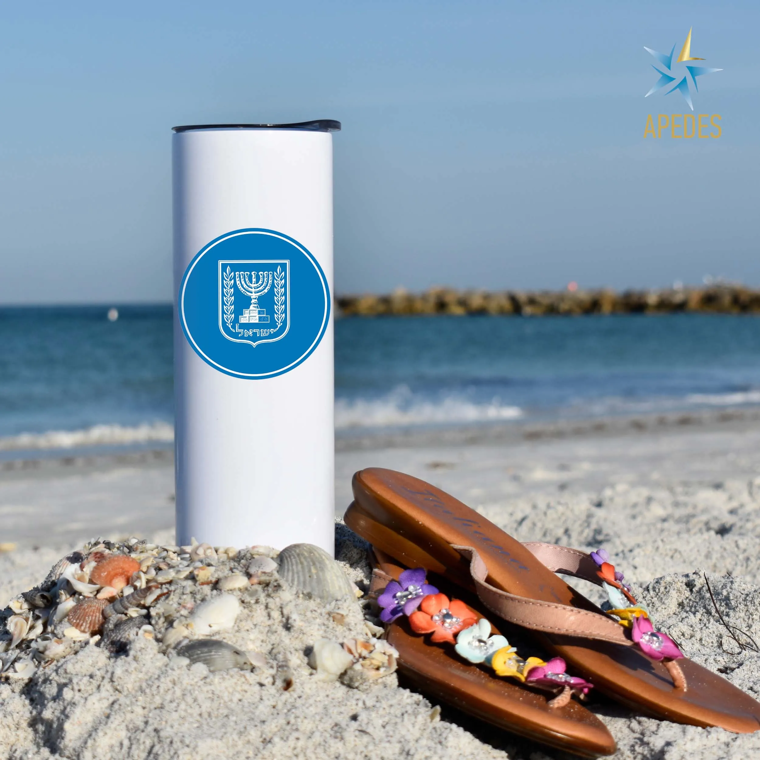 Israel Stainless Steel Skinny Tumbler 20 OZ