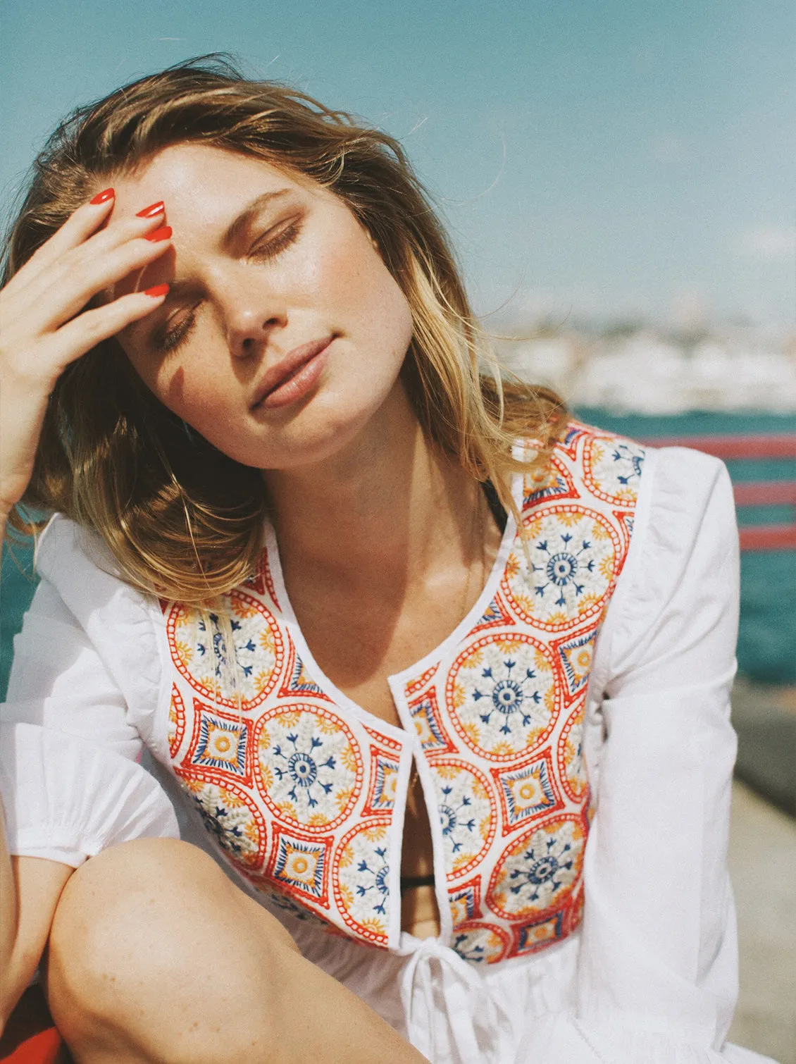 Joplin Embroidered Mini