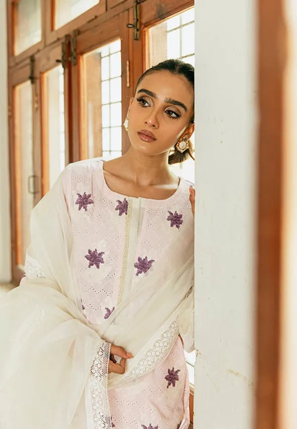 Kameez Trouser and Organza Dupatta Pakistani Eid Dress