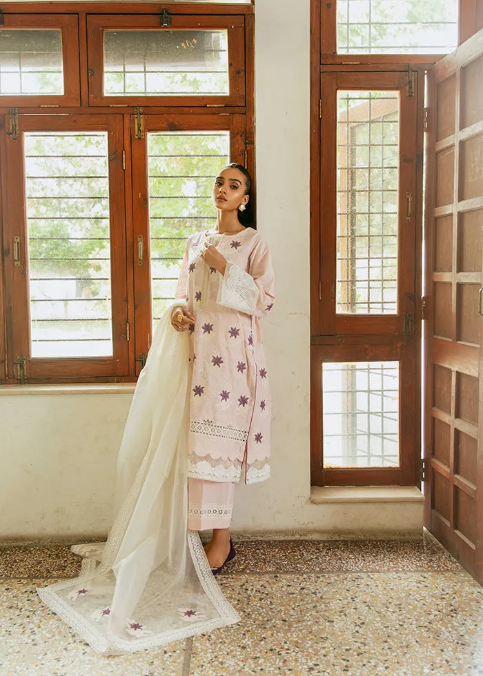 Kameez Trouser and Organza Dupatta Pakistani Eid Dress