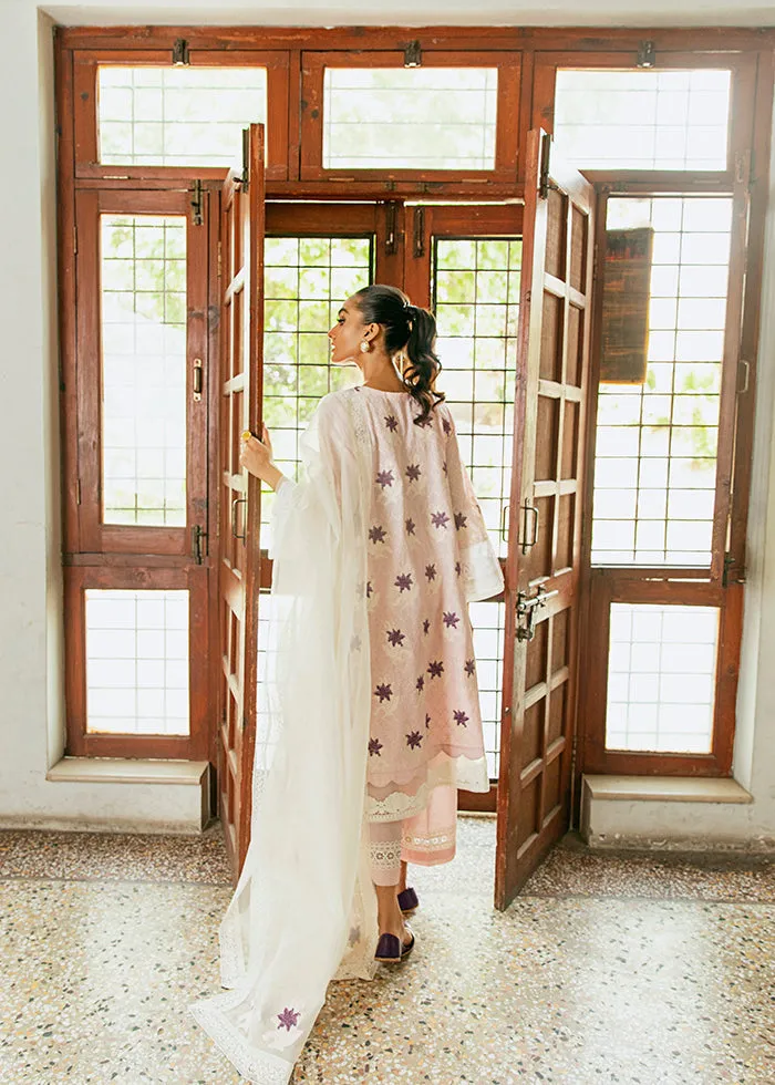 Kameez Trouser and Organza Dupatta Pakistani Eid Dress