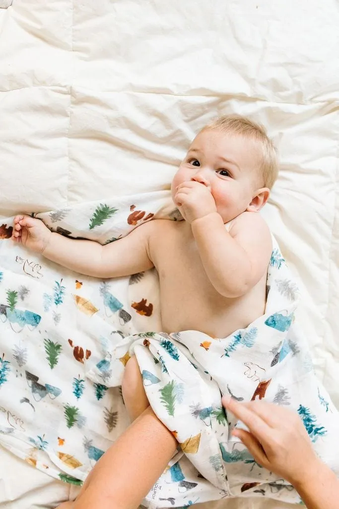 Loulou Lollipop Luxe Muslin Swaddle - Adventure Begins