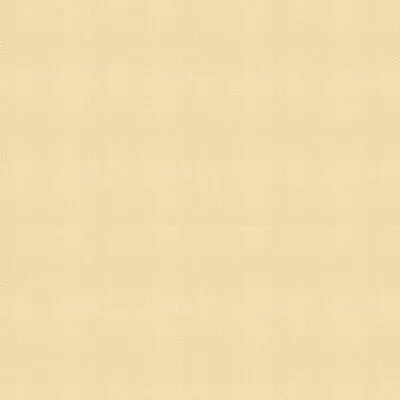 Moccasin-1001