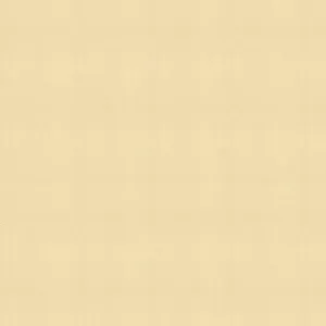 Moccasin-1001