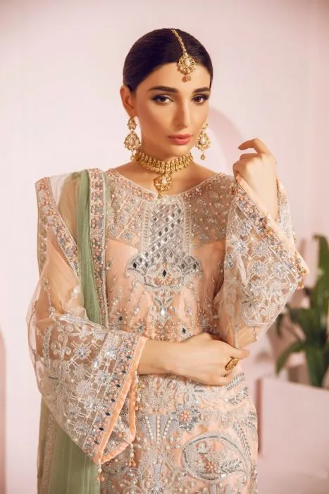 Pakistani Fancy Outfit with Ghararah for Party  #J4342