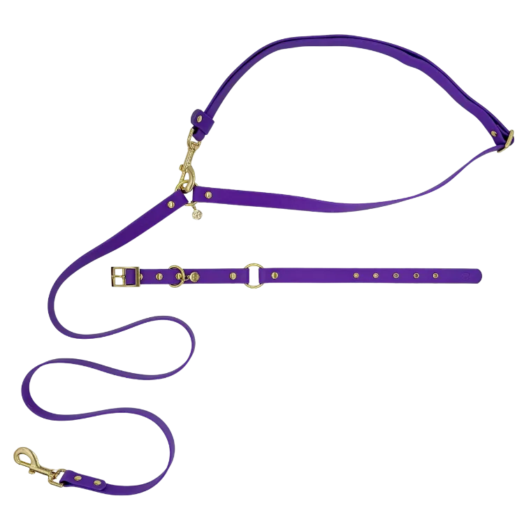 Purple Haze - Splashproof Bundle