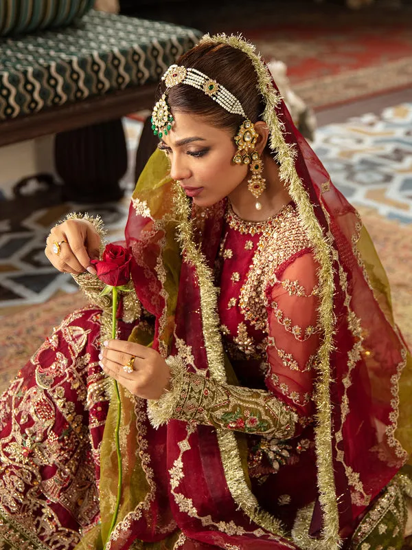 Red Dress Pakistani in Kameez Trouser Style for Wedding
