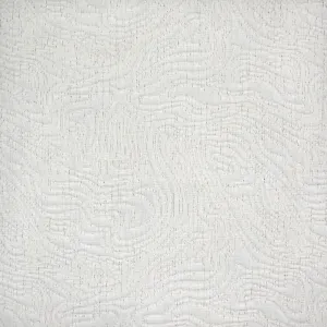 Seismic-Snow