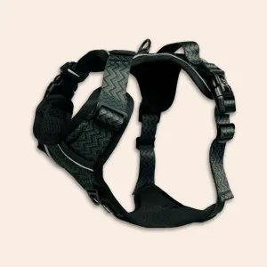 Twiggy Tags Adventure Harness Petrichor