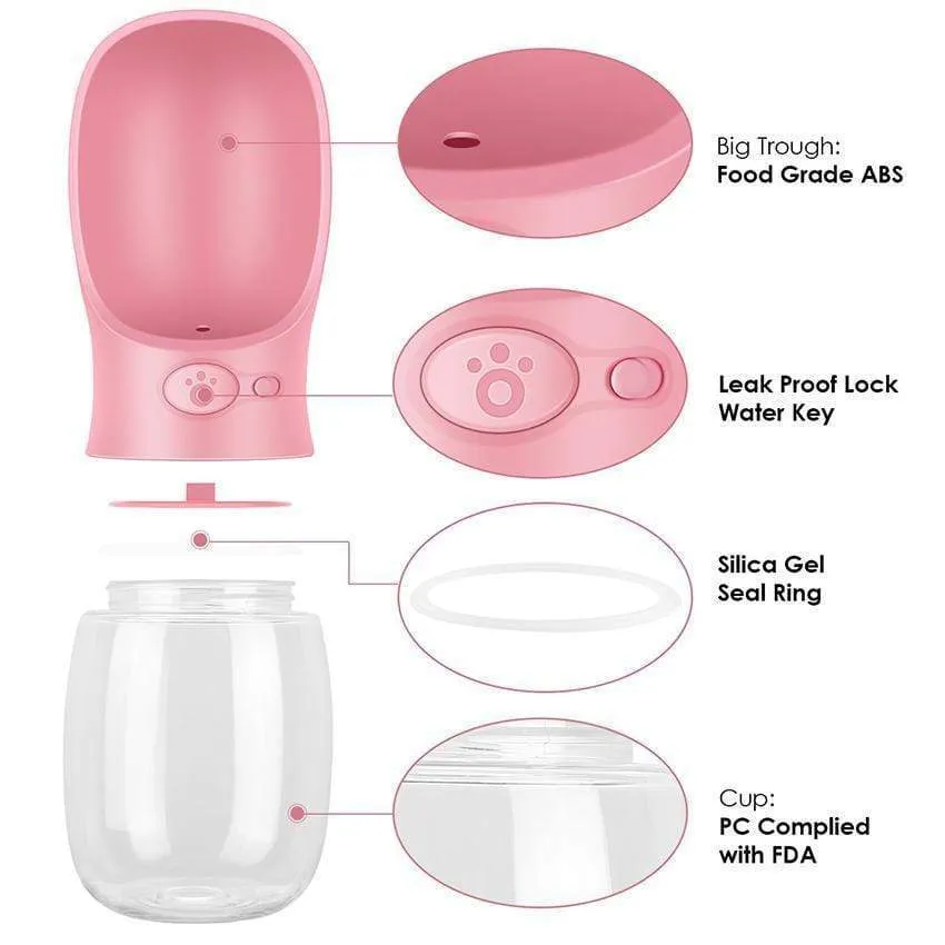 Water Bottle