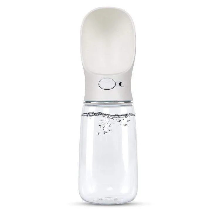 Water Bottle