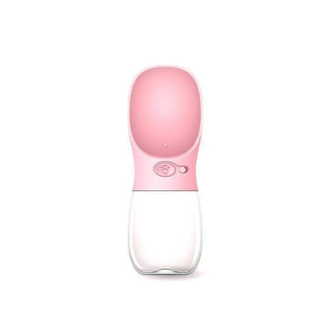 Water Bottle