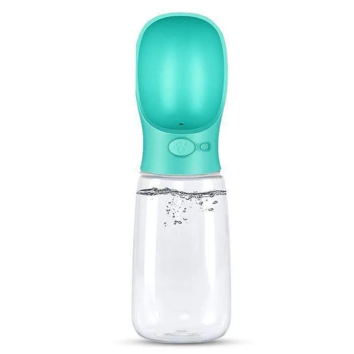 Water Bottle